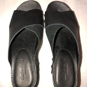 CHARLES DAVID WEDGES